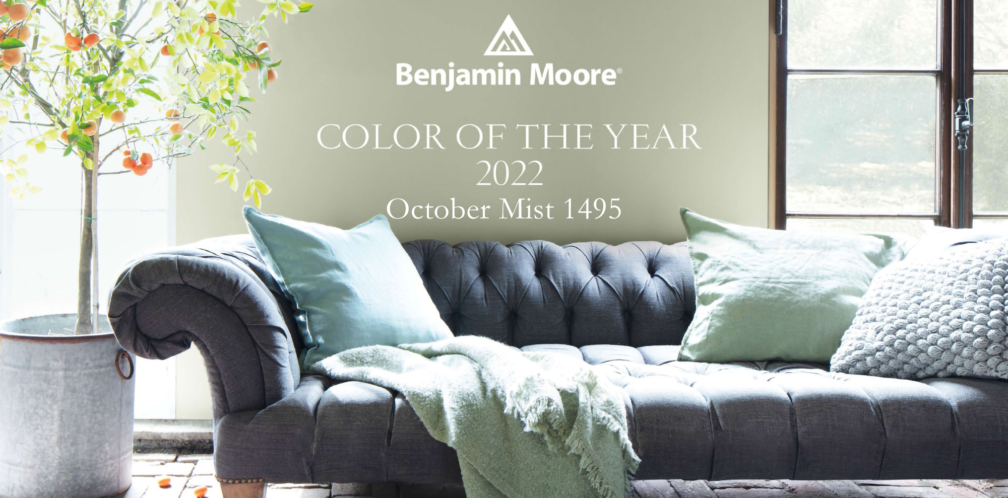 Color of the Year 2022